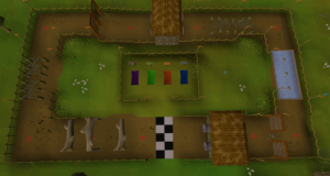 Agility Course.png